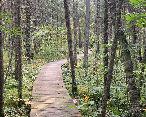 North Country Trail from Scott Bridge