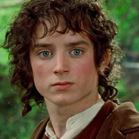 Frodo Bagginds 